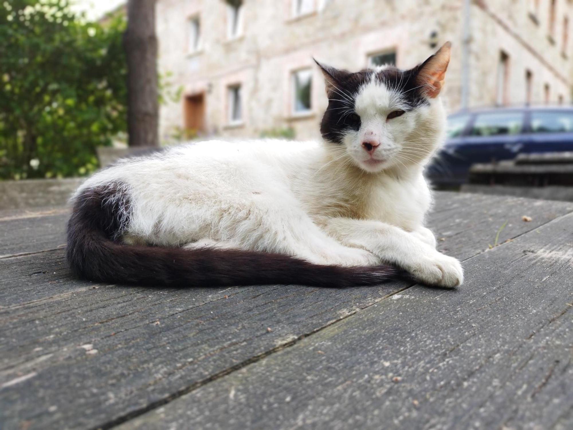 Apartamenty U Golebiewskich Stara Kamienica Exterior foto